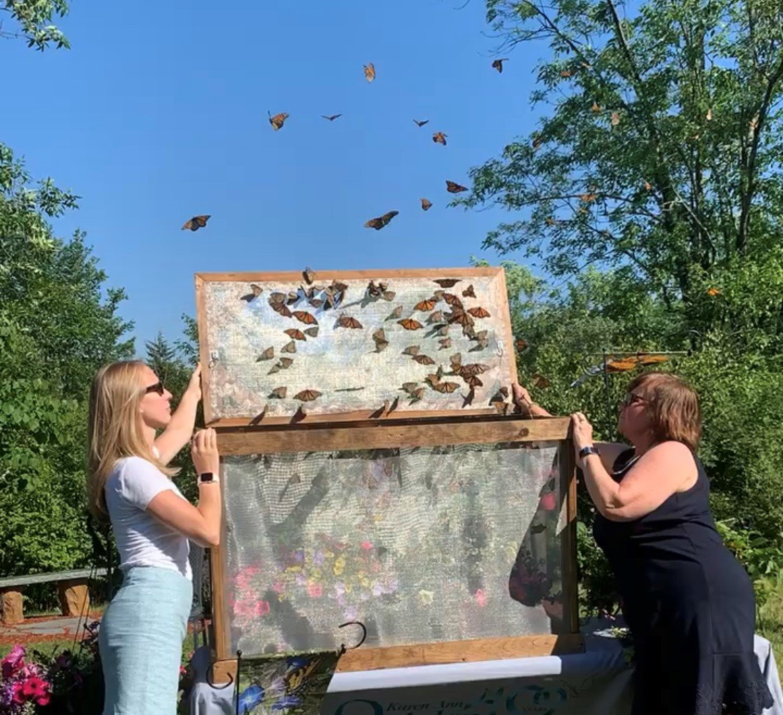 Dozens of butterflies are released at the conclusion of each butterfly release celebration. This year's celebration will be hosted virtually via Zoom on Sunday, June 13 at 2 p.m.
